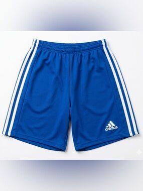 adidas Men’s Royal Blue Athletic Shorts with White Stripes